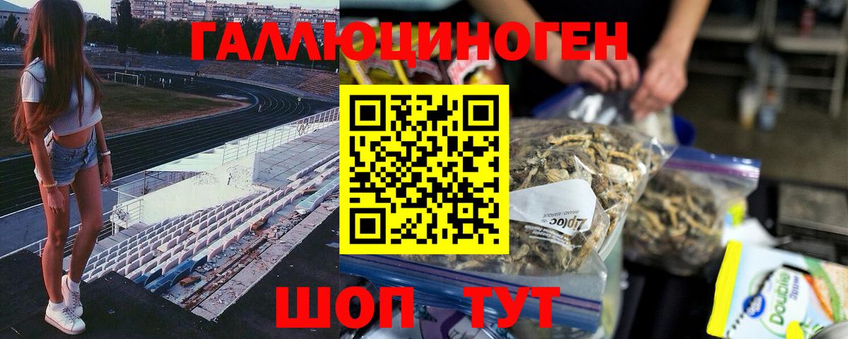APVP СК   MDMA  Новозыбков  Гашиш  Вход с VPN  Меф кристаллы 